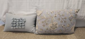 2 Blue Scatter cushions