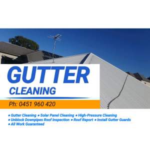 ✔️ Gutter Cleaning - Roof Cleaning 
