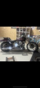 Harley Davidson 1989 softail