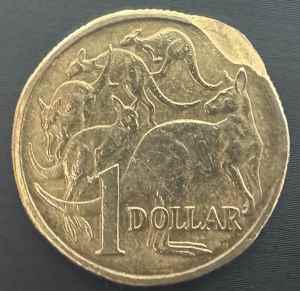 1984 clipped rim $1 coin
