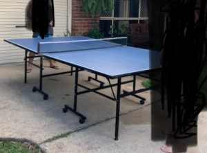 Dragonfly 1000 series ping pong table
