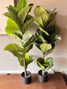 Indoor plastic plant giant fiddle leaf tree