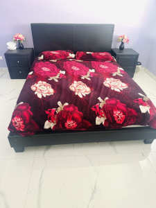 queen size bed for sale