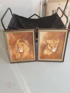Lion Oil Paintings