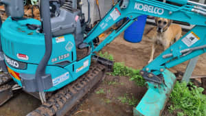 2020 1.2t Kobelco Excavator with warranty