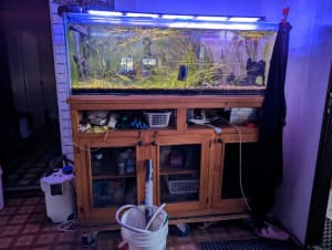 Fish Tank/Acquarium 
