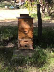 Beehives 8 and 10 frames