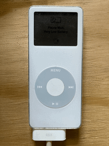 iPod Nanos & iPod touch