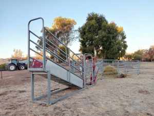 Cattle yards and ramp with bale head 