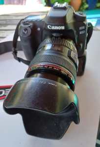 canon camera d 80 with ef 25-105 l lens
