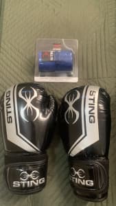 Sting Boxing Gloves 10oz