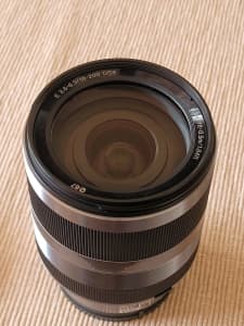 Sony 18-200mm Zoom Lens