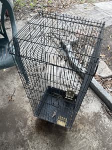 Metal wire bird cage