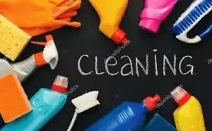 Do you need a cleaner??
