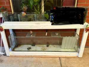 6 ft aquarium with sump and stand