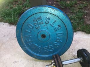 Buffalo weight plates 22.2 kg 50 lbs good condition