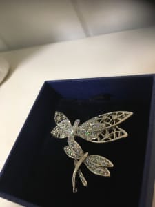 Dragonfly broach with accents of sparkle