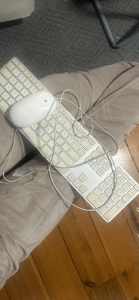 Apple Keyboard and Mouse - Wired