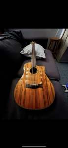 Fender 5 string Acoustic Bass
