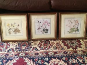 Three timber framed pictures of flowers, in excellent condition