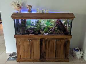 5ft Aquarium fully equipped, established and stocked