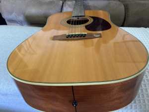 12 String Acoustic Cort Guitar