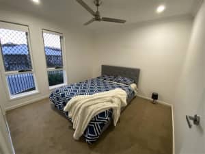 Beautiful Room for Rent - Perfect for a Female Tenant!