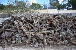 Wanted: Looking for mallie root wood 