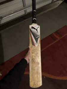 Negotiable Puma Cricket Bat For Hard Ball Cricket Kashmir Willow