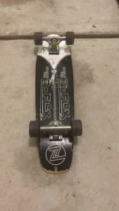 Z-Flex skateboard