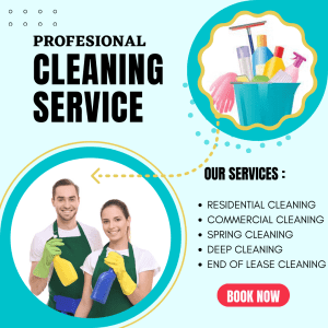 Cleaning Services $40/h