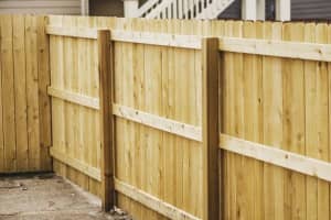 All types of timber fencing installed and repaired