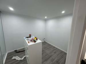 experienced painter 