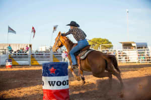 Wanted: Looking for a D1/D2 Barrel horse 