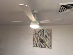 Ceiling fans with light