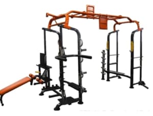 Flex USA power rack/rig monkey bars