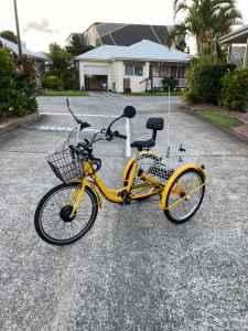 DECEASED ESTATE QUICK SALE: Electric Adult Three Wheel Tricycle Trike