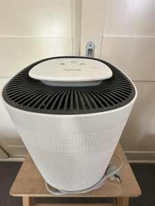 Air purifier and dehumidifier