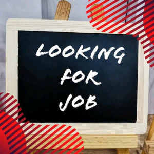 Im looking for job opportunities