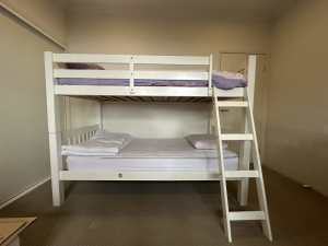 Solid timber single bunk beds