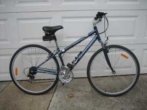 Malvern Star Recreational Bike