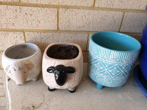 Sheep pots