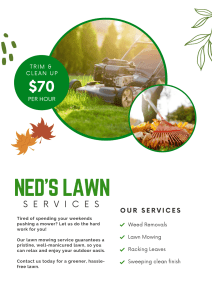 Neds Mowing Services - Professional Lawn Care and Weed Removal