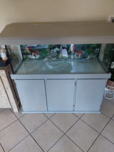 Fish Tank. 48×18×18. Cabinet and lid.