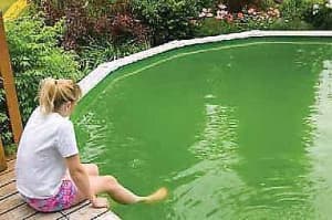 Pool turning green? Algae forming?