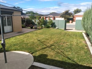 Mowing and Yard Care service