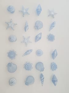 24 large blue and white glass shells up to 5cm each