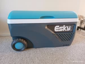 Esky cooler - 65l 