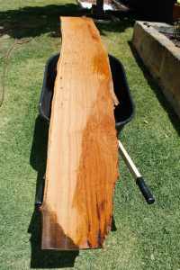 Blackbutt Timber Slab no.50 2.49m x 37 - 42cm x 34mm