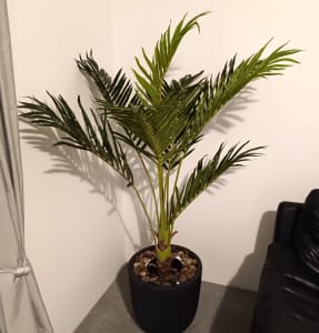 Artificial Plants: Palm package